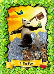 All Bears cover