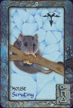 Animal Dreaming cover
