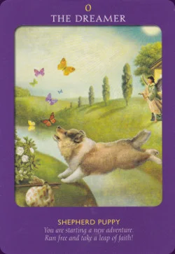 Animal Tarot Cards cover