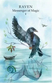 Animal Wisdom cover