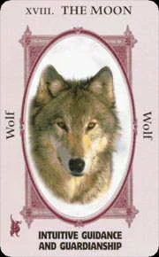 Animal Wise cover