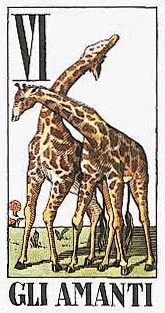 Tarocco degli Animali cover