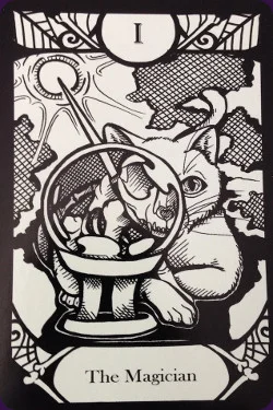 Animalis os Fortuna cover