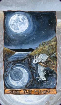 Animism cover