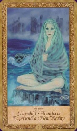 Art Through the Starstream cover