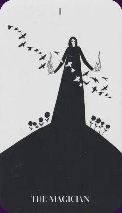 Black Violet cover