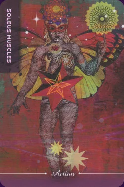 Body Cards cover
