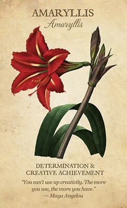 Botanical Inspirations cover