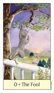 Cat's Eye cover
