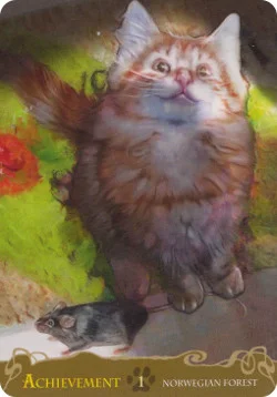Cats Inspirational cover