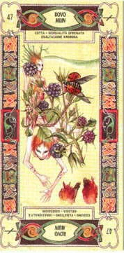 Tarocchi Celtici cover