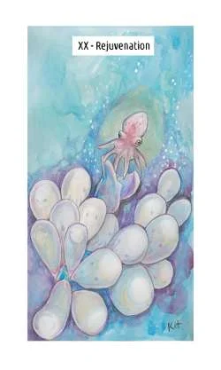 Cephalopod cover