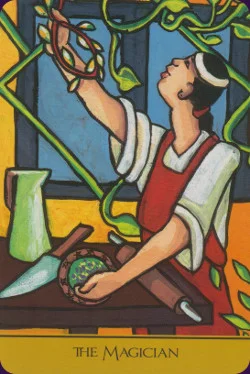 The Cook's cover