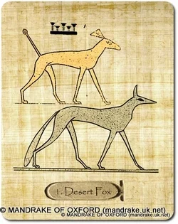 Desert Fox cover