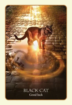 Divination of the Ancients cover