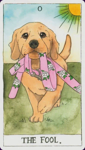 Dog cover