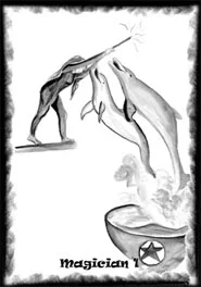 Dolphin Daze cover