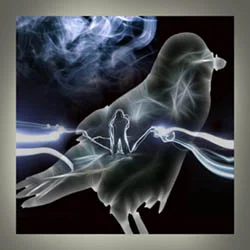 Dreams and Nightmares - Oracle of the Night cover