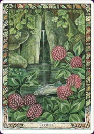Druid Plant cover