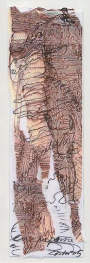 Tarocchi eVoluti cover