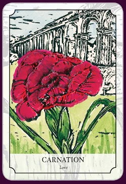 Flower Reading Cards cover