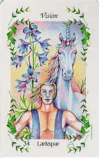 Flower Speaks Deck cover