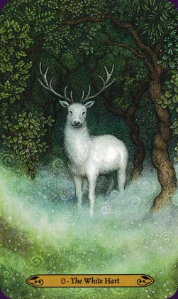 Forest of Enchantment cover