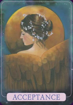 Indigo Angel cover