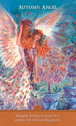 Inspirational Wisdom from Angels and Fairies cover
