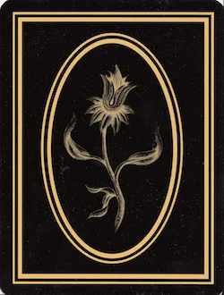 Le Tarot Noir cover