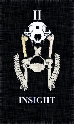 Magick Bones of cover