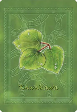 Maori cover