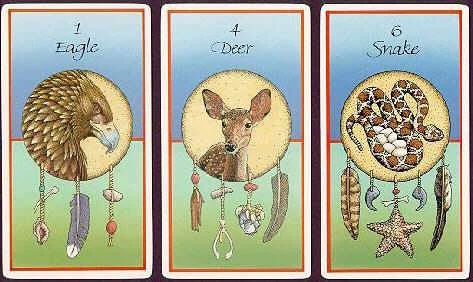 Medicine Cards cover
