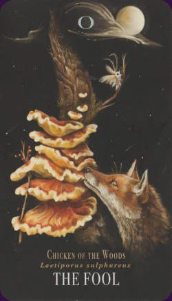 Midnight Magic: A Tarot Deck of Mushrooms cover