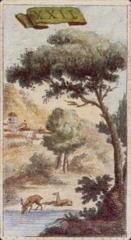 Minchiate cover
