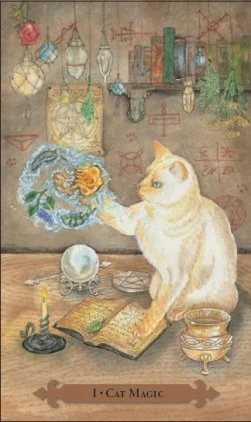 Mystical Cats cover