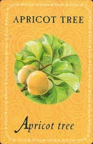 Nature's Healing cover