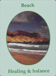 Nature-Speak cover