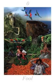 Nature cover