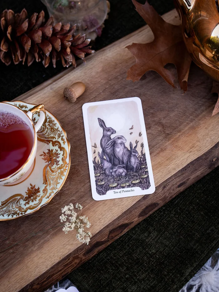 Oak, Ash & Thorn Tarot cover