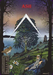 Ogham: The Celtic cover