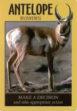 Power Animal cover