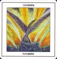 Rainring Cards cover