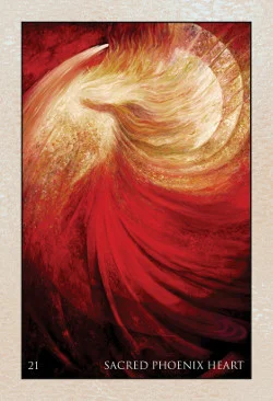 Rumi cover