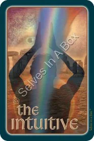 Selves in a Box cover