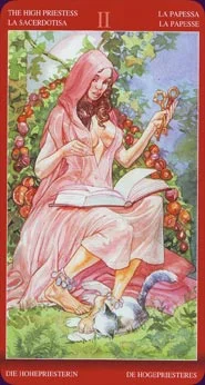 Tarot of Sexual Magic cover