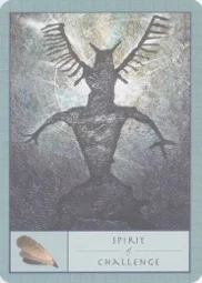 Shaman's cover