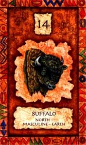 Shaman Wisdom Cards cover