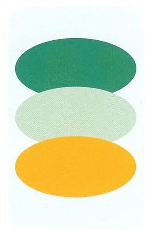 Silent Stones Colour cover