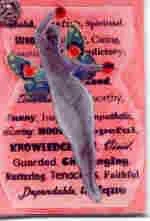 Soul Vision Tarot 2005 cover